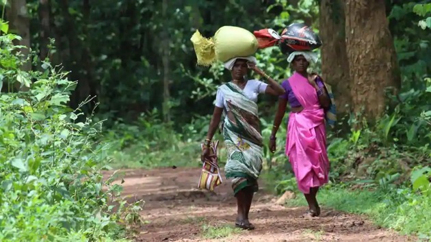 The forest conservation rules specify that the district collector completes the process of recognising forest rights of people who live in the project area.(File photo) The forest conservation rules specify that the district collector completes the process of recognising forest rights of people who live in the project area.(File photo)
