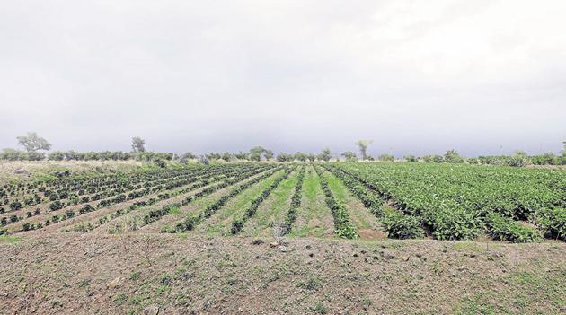 Shirur MP and actor Amol Kolhe has demanded a change of site for Pune’s new international airport, from Purandar to Chakan.(Rahul Raut/HT PHOTO)