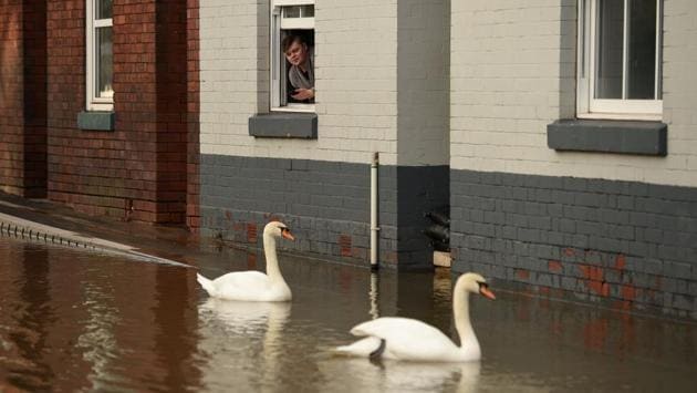 A youth looks out of a partially submerged building as swans paddle in the flood waters in Shrewsbury, Shropshire, in central England after further rain pushed already high water levels following Storms Ciara and Dennis even higher and caused the river Severn to breach emergency defences. (Oli Scarff / AFP)