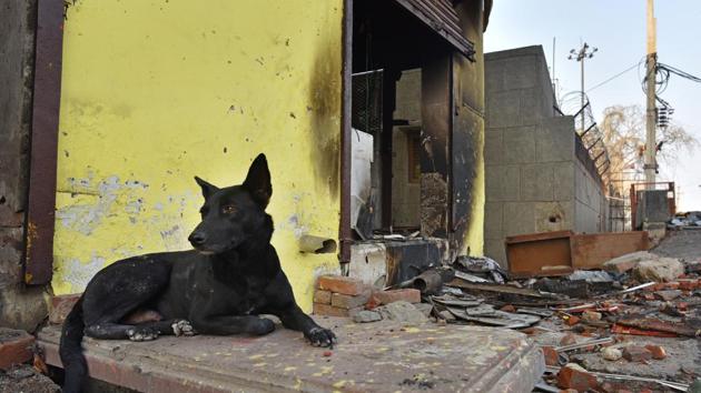 A dog is seen near burnt houses following communal riots in North East Delhi over the new citizenship law, at Shiv Vihar in New Delhi. (Sanchit Khanna/HT PHOTO) A dog is seen near burnt houses following communal riots in North East Delhi over the new citizenship law, at Shiv Vihar in New Delhi. (Sanchit Khanna/HT PHOTO)