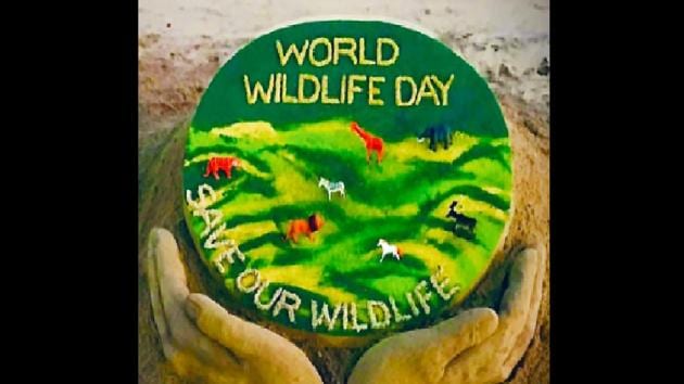 World Wildlife Day 2020: Adorable animal videos to requests for