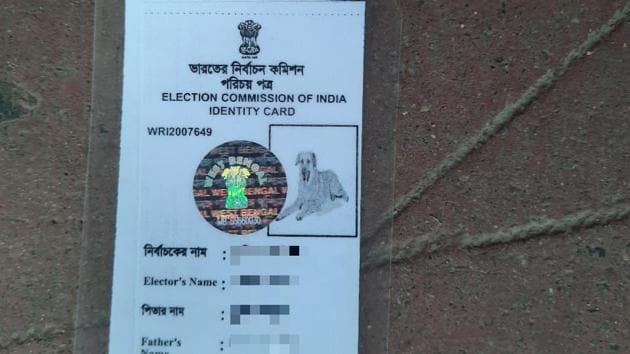 A picture of the voter ID with the dog’s photo.(Twitter/@ANI)