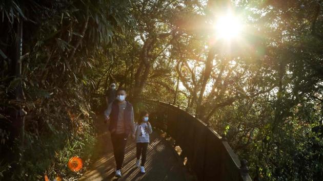 “I’ve been staying at home for too long. Going out hiking, I think everyone shares the same thought—that is to breathe some fresh air, make ourselves comfortable, enjoy the breeze and the view,” 26-year-old Sadie Lam told AFP. (Vivek Prakash / AFP) “I’ve been staying at home for too long. Going out hiking, I think everyone shares the same thought—that is to breathe some fresh air, make ourselves comfortable, enjoy the breeze and the view,” 26-year-old Sadie Lam told AFP. (Vivek Prakash / AFP)