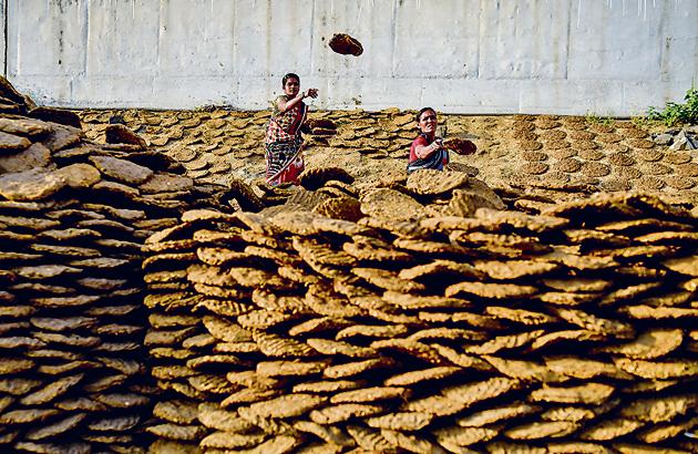 Women drying cow dung with Holi around the corner at Sangamwadi bridge. (Sanket Wankhade/HT PHOTO) Women drying cow dung with Holi around the corner at Sangamwadi bridge. (Sanket Wankhade/HT PHOTO)