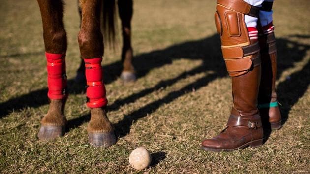 Linthoingambi Kangjei Lup Polo Club player Shanglenmayum Sangeeta stands next to her pony as she adjusts the length of the stirrups leather before the start of their 15th Women’s State Polo Tournament match at the Mapal Kangjeibung (Polo Ground) in Imphal. (Xavier Galiana / AFP) Linthoingambi Kangjei Lup Polo Club player Shanglenmayum Sangeeta stands next to her pony as she adjusts the length of the stirrups leather before the start of their 15th Women’s State Polo Tournament match at the Mapal Kangjeibung (Polo Ground) in Imphal. (Xavier Galiana / AFP)