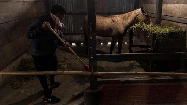 Linthoingambi Kangjei Lup Polo Club polo team captain Khundongbam Habe cleans a stable at Thangmeiband Polo Ground. Even so, polo—which resembles horseback field hockey, and whose Manipuri version, “Sagol Kangjei”, is played with riders on indigenous ponies—is usually viewed as a male-only sport in the state. (Xavier Galiana / AFP) Linthoingambi Kangjei Lup Polo Club polo team captain Khundongbam Habe cleans a stable at Thangmeiband Polo Ground. Even so, polo—which resembles horseback field hockey, and whose Manipuri version, “Sagol Kangjei”, is played with riders on indigenous ponies—is usually viewed as a male-only sport in the state. (Xavier Galiana / AFP)