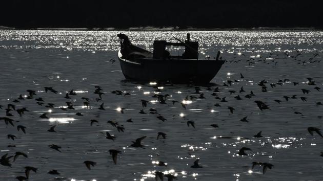 A boat floats as birds are fly over a creek, in Thane, Maharashtra. (Praful Gangurde / HT Photo) A boat floats as birds are fly over a creek, in Thane, Maharashtra. (Praful Gangurde / HT Photo)