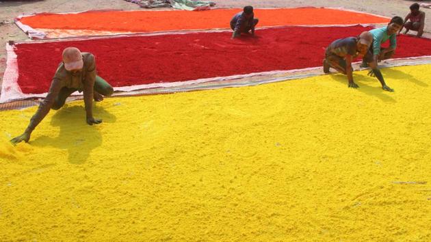 Workers dry coloured powder (gulal) in a factory ahead of Holi, near Sheetla Mata Mandir, Sector 5, in Gurugram. (Yogendra Kumar / HT Photo) Workers dry coloured powder (gulal) in a factory ahead of Holi, near Sheetla Mata Mandir, Sector 5, in Gurugram. (Yogendra Kumar / HT Photo)