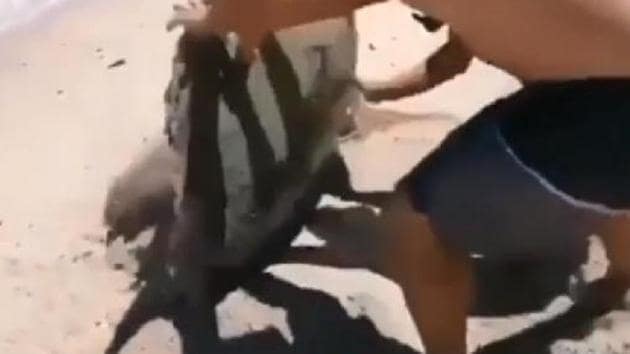 Moss starts digging the sand around the turtle; after which he and his friend flip the reptile over to the right side of existence. (u/Sean8162//official Reddit) Moss starts digging the sand around the turtle; after which he and his friend flip the reptile over to the right side of existence. (u/Sean8162//official Reddit)