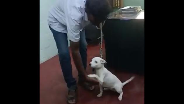 Pooja the puppy responds to her trainer’s commands and instructions. (Twitter/@deepolice12) Pooja the puppy responds to her trainer’s commands and instructions. (Twitter/@deepolice12)