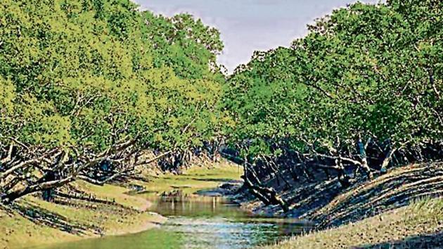 If the assessment is negative, the project will be directed to shut down. If not, it will be appraised for ecological damage, remediation plan and so on in addition to the standard terms of reference, which outline the scope of the project. If the assessment is negative, the project will be directed to shut down. If not, it will be appraised for ecological damage, remediation plan and so on in addition to the standard terms of reference, which outline the scope of the project.