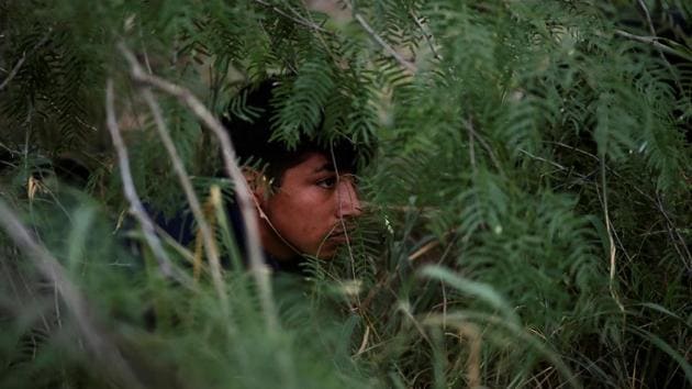 A migrant from Central America, hides in a thick bush before being apprehended by border patrol agents in La Joya, Texas. As a result of the new policies, tens of thousands of migrants have been turned back across the border to wait in Mexico to resolve their immigration cases. (Adrees Latif / REUTERS)