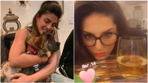 Priyanka Chopra said she was spending time playing with her dog Gino, while Sunny Leone said she was getting bored at home.