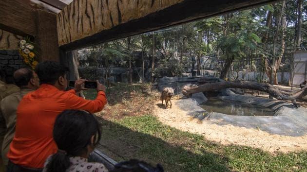 Visitors at the Byculla Zoo in Mumbai.(HT Photo)