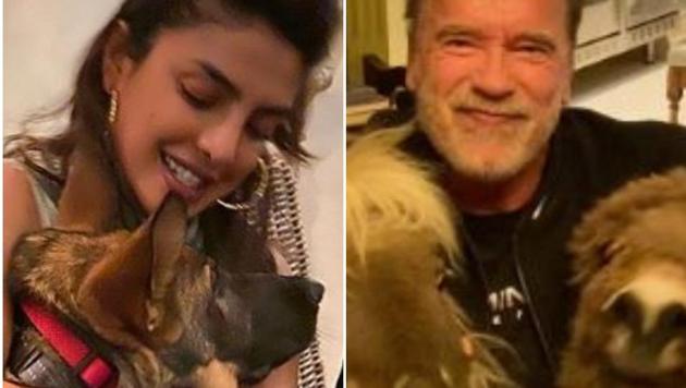 Arnold Schwarzenegger and Priyanka Chopra pose with their pet animals.