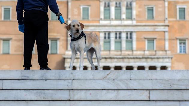 Coronavirus Outbreak: A man wearing protective gloves holds his dog, as the Greek government implemented strict precautionary measures against the spread of the coronavirus disease (COVID-19), in Athens. (REUTERS) Coronavirus Outbreak: A man wearing protective gloves holds his dog, as the Greek government implemented strict precautionary measures against the spread of the coronavirus disease (COVID-19), in Athens. (REUTERS)