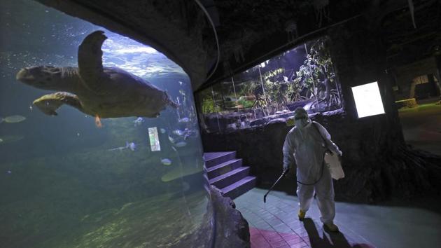 An employee sprays disinfectant at the Sea World at Jaya Ancol Dream Park in Jakarta, Indonesia. The capital city announced a lockdown of all tourist destinations and entertainment spots. President Joko Widodo, has not declared a nationwide state of emergency, however, the head of Indonesia’s disaster mitigation agency has issued a circular extending the state of “certain emergencies” until May 29. (Dita Alangkara / AP) An employee sprays disinfectant at the Sea World at Jaya Ancol Dream Park in Jakarta, Indonesia. The capital city announced a lockdown of all tourist destinations and entertainment spots. President Joko Widodo, has not declared a nationwide state of emergency, however, the head of Indonesia’s disaster mitigation agency has issued a circular extending the state of “certain emergencies” until May 29. (Dita Alangkara / AP)