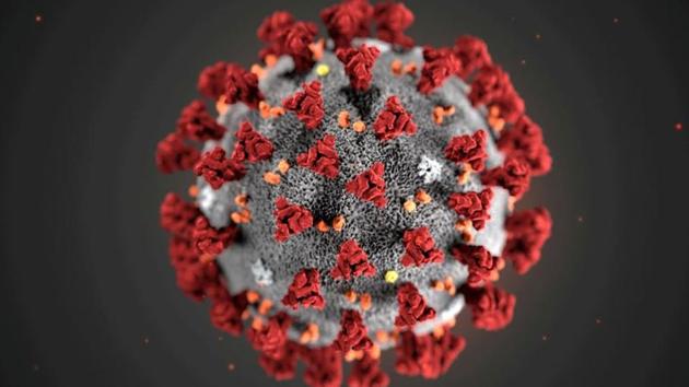 FACT: The new coronavirus is a respiratory virus that spreads primarily via droplets when an infected person coughs, sneezes or breathes out, or through droplets of saliva or discharge from the nose. (Alissa Eckert, MS; Dan Higgins, MAM/CDC/Handout via REUTERS) FACT: The new coronavirus is a respiratory virus that spreads primarily via droplets when an infected person coughs, sneezes or breathes out, or through droplets of saliva or discharge from the nose. (Alissa Eckert, MS; Dan Higgins, MAM/CDC/Handout via REUTERS)