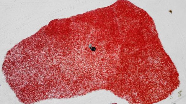 An aerial view shows a worker leaving chilies to dry on embankments of Jumna river in Bogra, Bangladesh. (Munir Uz Zaman / AFP)