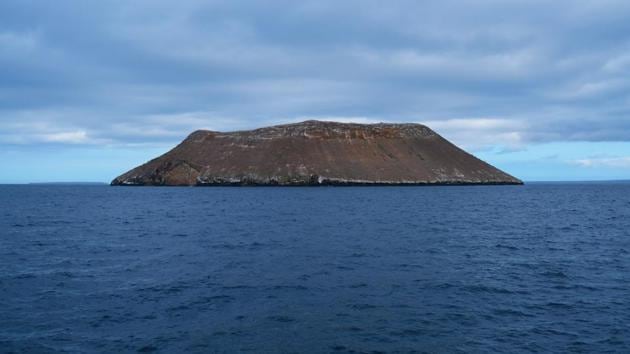 A naturescape in Galapagos Islands where the coronavirus pandemic has reached. (REPRESENTATIONAL IMAGE)(Unsplash) A naturescape in Galapagos Islands where the coronavirus pandemic has reached. (REPRESENTATIONAL IMAGE)(Unsplash)