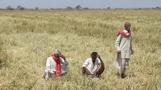 Coronavirus update: Small agriculture business owners will need access to emergency grants, analysts say. (HT File Photo) Coronavirus update: Small agriculture business owners will need access to emergency grants, analysts say. (HT File Photo)