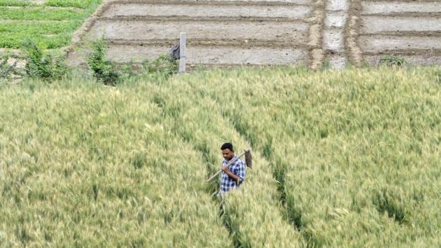 A farmer carries a spade at a farm on the second day of national lockdown to curb the spread of coronavirus.(Sunil Ghosh /HT Photo)