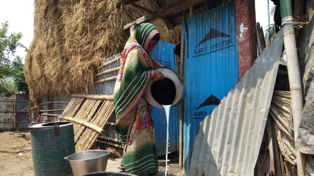 A woman in a dairy farmer’s colony in Agartala throwing away milk. (Sourced) A woman in a dairy farmer’s colony in Agartala throwing away milk. (Sourced)