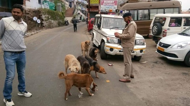 A Uttarakhand policeman feeding stray dogs in Dehradun during the lockdown. (HT PHOTO) A Uttarakhand policeman feeding stray dogs in Dehradun during the lockdown. (HT PHOTO)