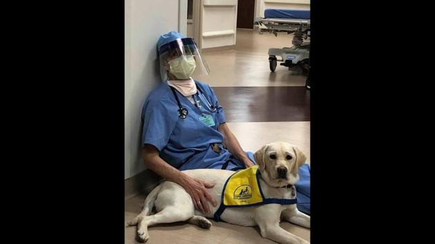 Wynn with her trainer at the hospital’s hallway. (Facebook/Susan Ryan) Wynn with her trainer at the hospital’s hallway. (Facebook/Susan Ryan)