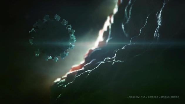 A computer image created by Nexu Science Communication together with Trinity College in Dublin, shows a model structurally representative of a betacoronavirus which is the type of virus linked to COVID-19 linked to the Wuhan outbreak.(via REUTERS) A computer image created by Nexu Science Communication together with Trinity College in Dublin, shows a model structurally representative of a betacoronavirus which is the type of virus linked to COVID-19 linked to the Wuhan outbreak.(via REUTERS)