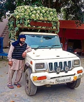 A farmer stands next to his mini-truck loaded with cauliflower at Issru Khurd village on Wednesday. (HT Photo) A farmer stands next to his mini-truck loaded with cauliflower at Issru Khurd village on Wednesday. (HT Photo)