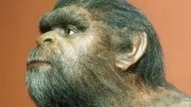 Human ancestor Homo erectus found to have existed earlier than previously believed.(www.history.com)