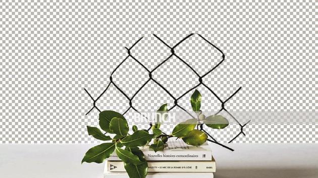Books make for lively companions in unnervingly still times(Photo imaging: Parth Garg) Books make for lively companions in unnervingly still times(Photo imaging: Parth Garg)