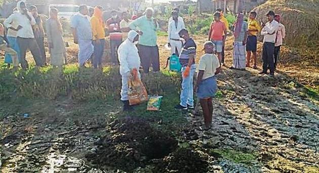 The dead crows have been disposed of and the affected areas were sanitised by the animal husbandry department.(HT Photo) The dead crows have been disposed of and the affected areas were sanitised by the animal husbandry department.(HT Photo)