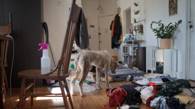 Nora Savosnick’s home between packing as she prepares to travel back to her family home in Norway. Shortly before leaving Nora was in two minds and had a conversation with her parents. “I want you to be here in case you should be sick,” her mother Chava told her. “It’s kind of scary to have my daughter on the other side of the world in these times.” (Nora Savosnick / REUTERS) Nora Savosnick’s home between packing as she prepares to travel back to her family home in Norway. Shortly before leaving Nora was in two minds and had a conversation with her parents. “I want you to be here in case you should be sick,” her mother Chava told her. “It’s kind of scary to have my daughter on the other side of the world in these times.” (Nora Savosnick / REUTERS)