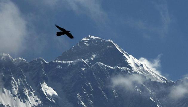 Representational image. (AP) Representational image. (AP)