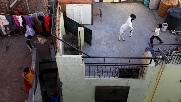 A child plays with a goat on a rooftop during a 21-day nationwide lockdown to limit the spreading of coronavirus in the old quarters of Delhi. (Anushree Fadnavis / REUTERS)