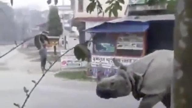 Watch what it does when it spots someone on the road. (Twitter/@ParveenKaswan) Watch what it does when it spots someone on the road. (Twitter/@ParveenKaswan)