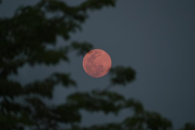 A view of the 'super pink moon', in Naypyitaw, Myanmar, Tuesday, April 7, 2020. (AP Photo/Aung Shine Oo) (AP) A view of the 'super pink moon', in Naypyitaw, Myanmar, Tuesday, April 7, 2020. (AP Photo/Aung Shine Oo) (AP)