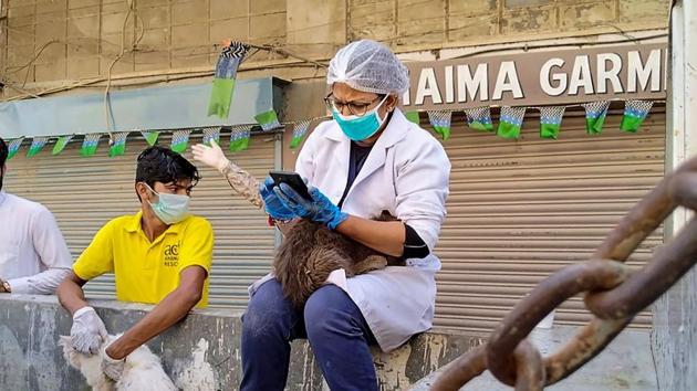 An official of animal rescue team checks a cat rescued from a cage of a closed animal market during a government-imposed nationwide lockdown in the wake of Covid-19 outbreak, in Karachi.(AFP Photo)