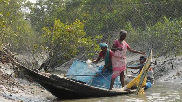 File photo of locals fishing in Sunderbans. (Subhankar Chakraborty/HT File Photo) File photo of locals fishing in Sunderbans. (Subhankar Chakraborty/HT File Photo)