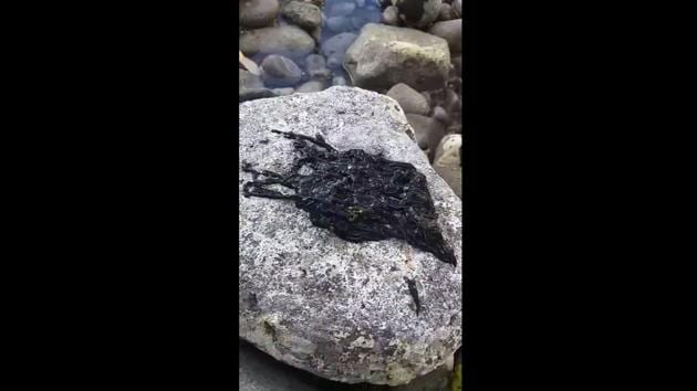 The 13-second-clip shows a black moss-like substance wriggling on some rocks.(Twitter/@sunnyarkade)