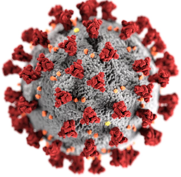 A virus is a submicroscopic infectious agent that replicates only inside the living cells of an organism. (wikipedia) A virus is a submicroscopic infectious agent that replicates only inside the living cells of an organism. (wikipedia)