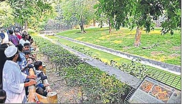 Most animals have become less shy and stress-free since the zoo closed for general public on March 18, said officials. (HT Photo) Most animals have become less shy and stress-free since the zoo closed for general public on March 18, said officials. (HT Photo)