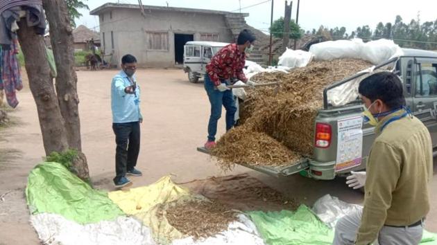 Farmers indulged in agriculture related work in Haridwar(HT) Farmers indulged in agriculture related work in Haridwar(HT)
