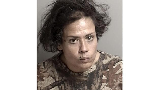 This handout photo courtesy of South Lake Tahoe police department shows Jennifer Walker's booking mugshot from El Dorado County jail, a 53-year-old South Lake Tahoe, resident who was arrested on April 7, 2020(AFP Photo) This handout photo courtesy of South Lake Tahoe police department shows Jennifer Walker's booking mugshot from El Dorado County jail, a 53-year-old South Lake Tahoe, resident who was arrested on April 7, 2020(AFP Photo)