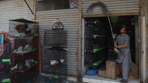 A vendor downing the shutter on his shop after feeding animals during the lockdown in Karachi. (Asif Hassan / AFP) A vendor downing the shutter on his shop after feeding animals during the lockdown in Karachi. (Asif Hassan / AFP)
