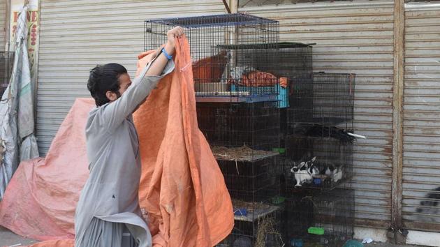 A vendor puts a cover over cages housing animals outside his closed shop. Around 25% of the population already live under the poverty line, but millions more who earn a daily wage have joined them since the lockdown began, experts say. (Asif Hassan / AFP) A vendor puts a cover over cages housing animals outside his closed shop. Around 25% of the population already live under the poverty line, but millions more who earn a daily wage have joined them since the lockdown began, experts say. (Asif Hassan / AFP)