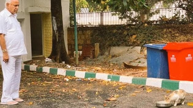 The image shows Karnataka CM BS Yediyurappa feeding a cat. (Twitter/B.S. Yediyurappa) The image shows Karnataka CM BS Yediyurappa feeding a cat. (Twitter/B.S. Yediyurappa)
