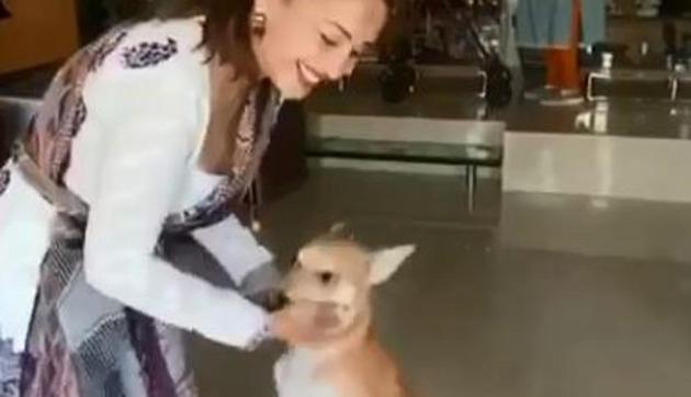 Madhuri Dixit plays with her dog, Carmelo.